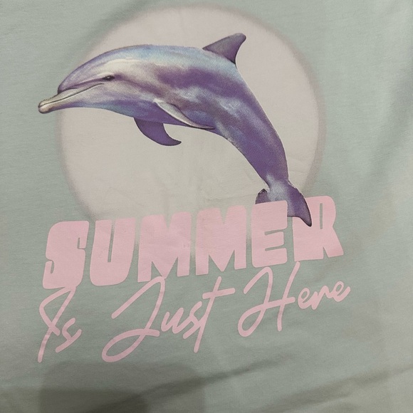 Zara Blue and Pink Short Sleeve Tees Casual Collection - Picture 6 of 6